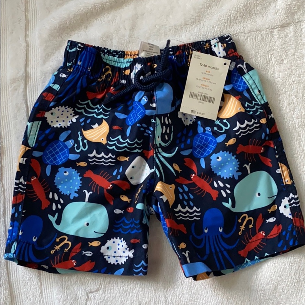 Toddler Boy Swim Shorts